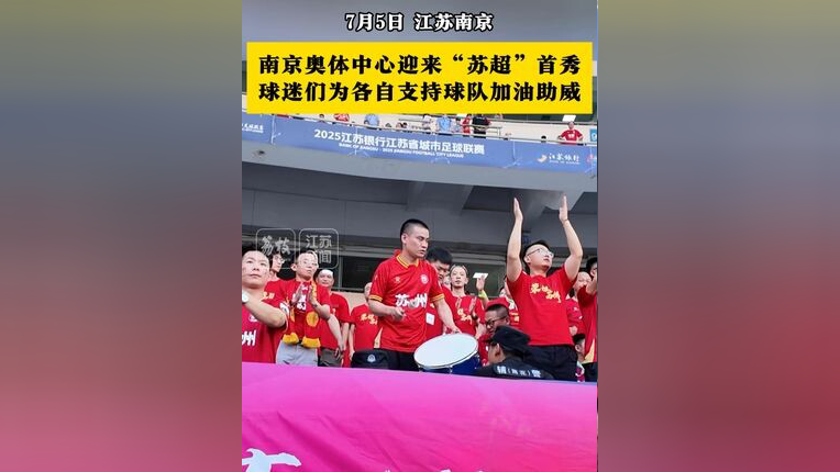 勒沃库森球迷热情助威，为球队加油助威
